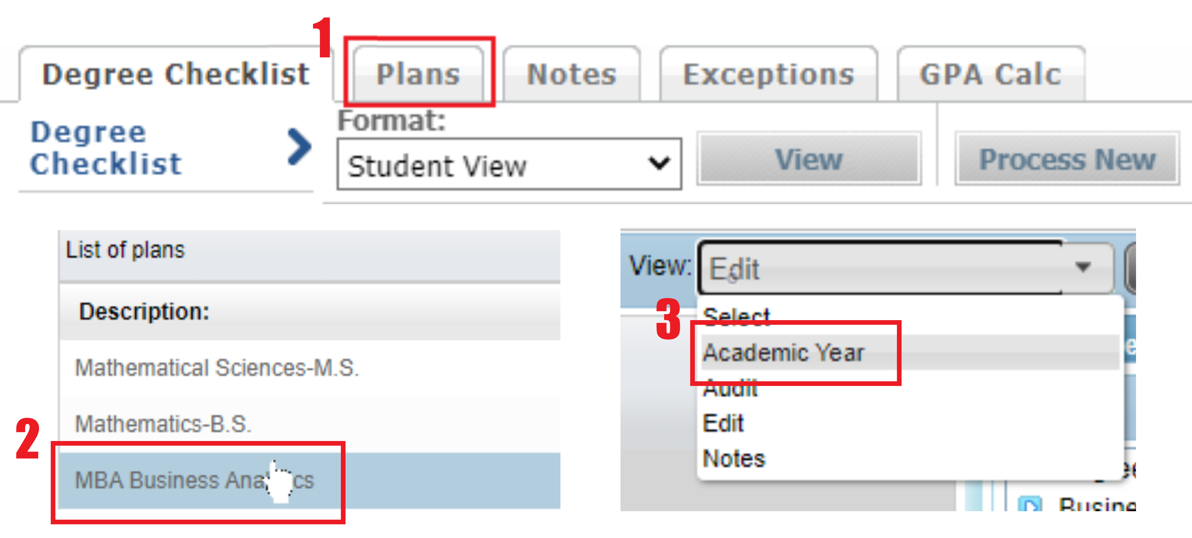 Viewing a Degree Plan 