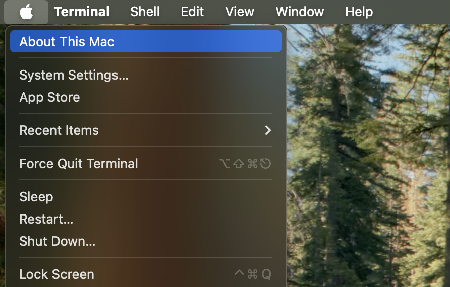 'About This Mac' option in the Apple Icon menu