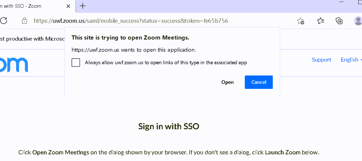 UWF Public Knowledge Base > Getting Started with Zoom > image2021-8-11_8-50-27.png Open button in pop-up window