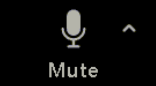 UWF Public Knowledge Base > Getting Started with Zoom > image2021-8-11_9-6-40.png Mute button in Zoom