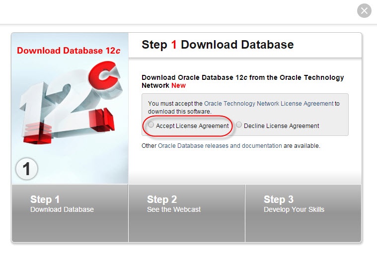 'Accept License Agreement' option