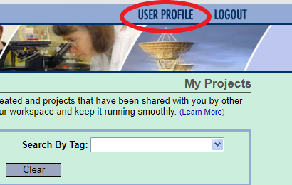 Screen shot of the User Profile link in the right hand corner of IRBNet