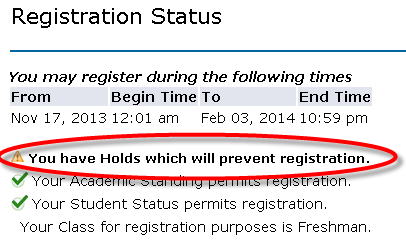 UWF Public Knowledge Base > Viewing Holds > 2-4-2014 8-42-48 AM.png you have holds message