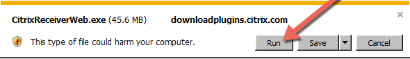 screenshot of Run button