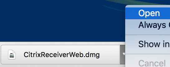 screenshot of Open option