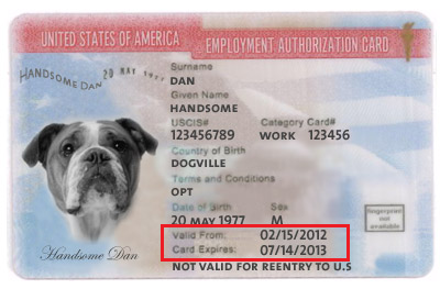 example of an Employment Authorization Document