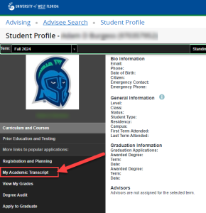 UWF Public Knowledge Base > Viewing my Degree(s) > image-2024-3-1_12-0-8.png